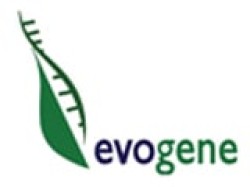  Evogene Logo "title =" Evogene Logo "=" companylogo "/> Evogene Ltd., a biotechnology company, focuses on improving the productivity and crop performance in the United States, Germany and internationally, with three segments: Evogene, Evofuel and Biomica.This segment develops seed traits improving plant yield and abiotic stress tolerance. , such as increased tolerance to drought, heat and salinity, as well as seed characteristics for plants, improving plant resistance to biotic stresses, including resistance to diseases, pests and insects, new herbicides and bio-stimulants, and biopesticides including microbial-based products that are applied to the outdoors. s, such as corn, soybeans, wheat, rice and cotton. The Evofuel segment develops improved castor plant species to serve as a source of raw materials for biofuels and other industrial uses. The Biomica segment discovers and develops therapeutics based on human microbiome for the treatment of immune-mediated and infectious diseases. The company has strategic collaborations with various agricultural companies, including BASF, Bayer, DuPont, Monsanto, Dow Chemical, Syngenta, and Insolo Agroindustrial SA Evogene Ltd. was founded in 1999 and is based in Rehovot, Israel. <!--ViewCount:ArticleHistoryID=21331817&PostDate=2018-7-14&type=y&tertiary=1&id=99557--></p>
<p>			 	<!-- end inline unit --></p>
<p>				<!-- end main text --></p>
<p>				<!-- Invalidate Article --></p>
<p>				<!-- End Invalidate --></p>
<p><!--Begin Footer Opt-In--></p>
<p style=